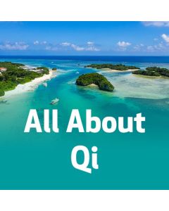 All About Qi