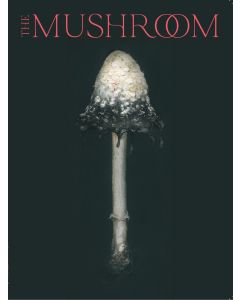 The Mushroom - Issue 3
