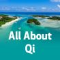 All About Qi