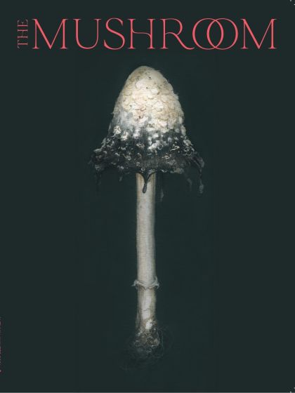 The Mushroom - Issue 3